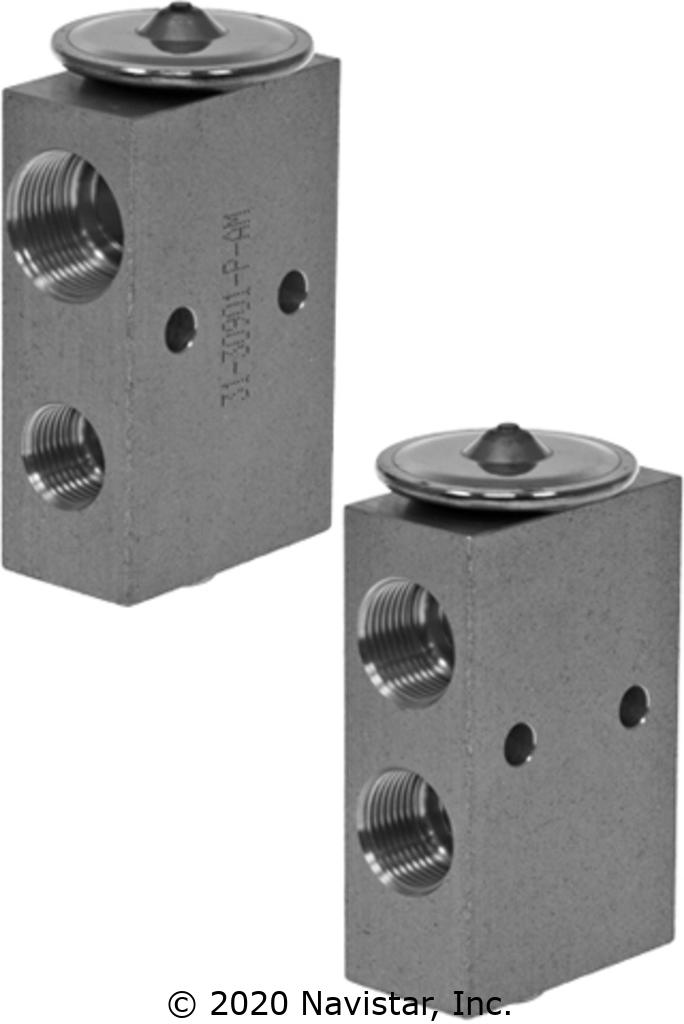 Fleetrite | FLTAC3130901PAM - Expansion Valve